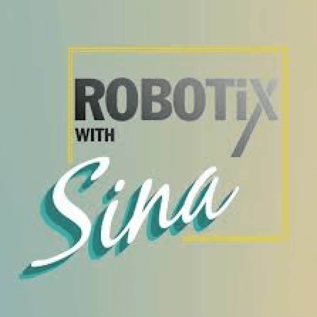 RobotixWithSina